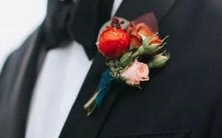 在二星座女生之间,哪个星座的女生表现出的温柔品质最突出?