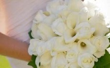 十二星座属性蛋糕全揭秘:探寻魔蝎座蛋糕的神秘魅力!