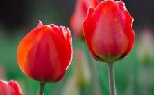 在睡梦中看到了一座令人惊叹的白色雕像,令人沉醉其中的神奇经历!