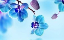 囊括各类精美、优雅、清新、可爱、别致的女性淘宝昵称大全,为您推荐一份简短、好听的心仪昵称!