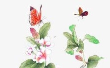 绝美女孩子英文名字推荐,充满听觉诱惑的简约与优雅相结合