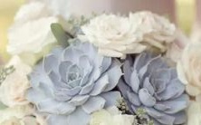 的排名及理由,从性格、兴趣到相处方式全面解析!