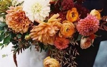 狮子座在星座中的地位和大小如何与其他星座相比?