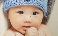 探寻拥有优美旋律的姓张女孩名字的方式