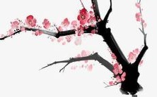 2022年度最受欢迎女孩子命名指南:探索最佳名字以及趋势,帮助您为宝宝选择一个独特而有意义的名称