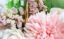 男巨蟹座一区与女狮子座一区进行配对:探讨星座性格的相性与影响!