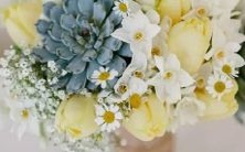 十二生肖指南:了解2004年农历中的你属于哪个星座!