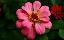 睡梦中遇见狭小巷道,象征何种隐喻与启示?