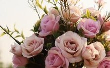 慷慨自信的星座高分榜,哪些星座最为慷慨自信呢?