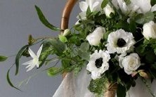 哪个星座最喜欢倒追和付出?