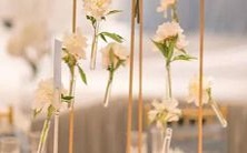 男双子座和女巨蟹座在第二星座区与女天秤座的完美匹配