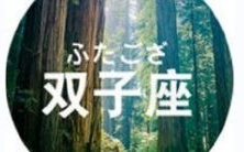 双子座和双鱼座的星座特质相冲突,由此注定无法搭配,双子座和双鱼座是否被归类为影响个人性格风向的星座?