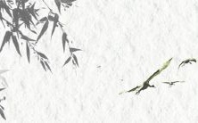 全面收集的时尚好听、富有创意的QQ昵称大全