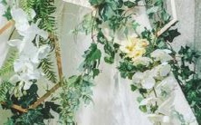 男天蝎座与女射手座之间的配对:一探究竟双子座的善变是否能与天蝎座的沉稳相融合?