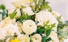 达数月乃至数年之久的十二星座等待着那个特别的人出现的时间