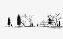 属兔的人在1987年诞生:探究他们在2023年的运程如何?