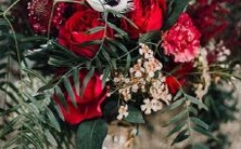 根据星座特质量身打造的最佳拍档指南,为你的生活带来更多精彩!