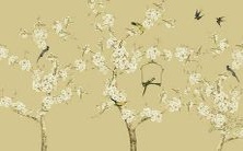 如何在选择名字时找到一个只有两个字却好听的名字