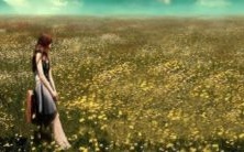 优质情侣网名推荐:男女分别双版本甜蜜、高质感的ins情侣网名