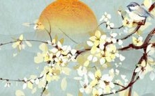 探究2022年出生属鸡者的学业运势:将会有哪些挑战和机遇?