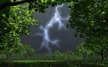 梦见抓到很多有生有死的鱼,这代表着怎样的象征意义?