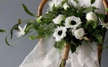 在十二星座中,每个星座对应的具体颜色是什么?