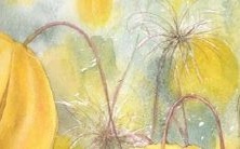 50个特别好听的女孩名字,让你挑花眼!