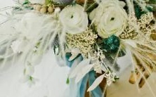 金星出现在哪个星座,表示什么意义?