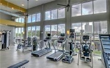 梦见许多数量众多的小甲鱼在梦中游动