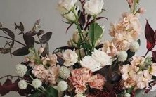 哪个星座拥有双重人格的人最多?