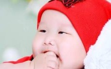 起名指南:如何为你的爱犬取一个可爱、好听的英文名字?