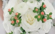 全面了解心理效应的必备手册:十二星座所需掌握的心理效应列表