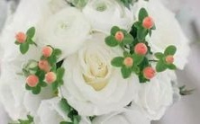 - 一探究竟:哪些星座更容易成为腐女?