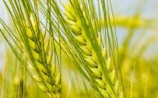 做梦:房屋倒塌砸死人 VS 房屋倒塌但人安全,对应着怎样的预示?