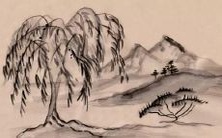 2022年属狗人需注意的忌讳事项及其可能带来的倒霉后果