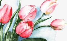 能给出一个姓徐的女孩名字吗?这个姓好听,想听听有哪些适合女孩的名字