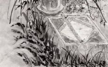 探究2022下半年属虎个人运势与运程,了解发展机遇与挑战!