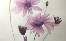 瑞柯对应的女孩名字是什么?寻找与男孩瑞柯对应的女孩名字!