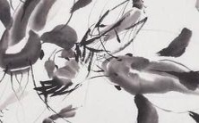 25个让人心驰神往的读书会名称,让你更加爱上阅读的秘密工具!