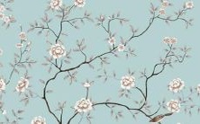 如何评估16年生肖猴的女性在2022年的运势与前景?