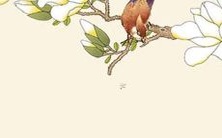 在2022年,出生于蛇年的人将被谁扶持引领,走向重大财富、事业和个人成长的巅峰?