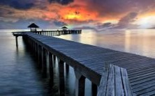 马属相和牛属相这两个属相的人是否性格合适?属马和属牛是否具有良好的互动和相处方式?