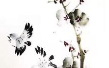 完整解析!2022年属鸡人详细运势预测:事业、财运、爱情、健康等方面全面揭秘