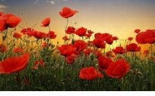 通过八字分析配偶星与日干的结合,预测爱情的深度和强度