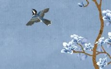 在十二生肖中位于属猴的1980年出生的人,在接下来的2022年将经历怎样的运势?