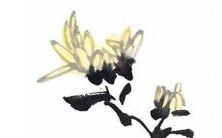 2022年是属兔人的大年,将迎来重大变革:属兔人需要关注的2022年大事件是什么?