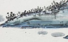 2022年属虎宝宝出生:究竟是虎男更好还是虎女更好?有哪些月份最适合宝宝出生?