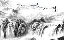 如何预测1982年出生的狗在2022年的运势?