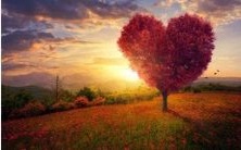 优秀的八字合婚指南:最好的选择是四到五个字的合婚配对