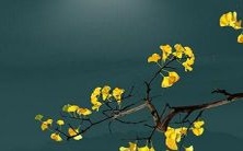 【2022年生肖运势215:十二生肖2022全年运势解析,财富、事业、感情详细预测!】